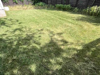 Lawn Care service in Elgin, 78621