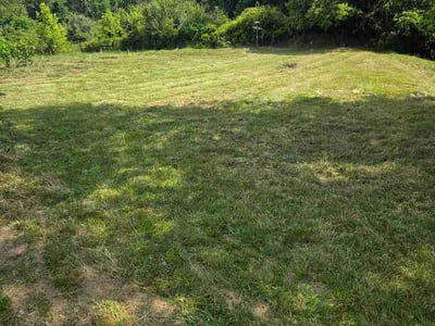 Lawn Care service in Hyde Park, 45208
