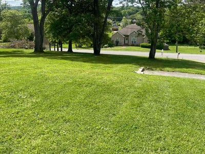 Lawn Care service in Goodlettsville, 37072