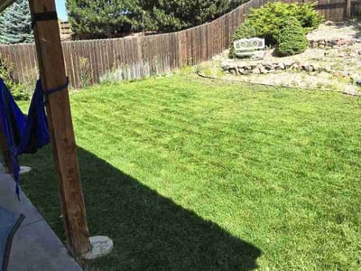 Lawn Care service in Colorado Springs, 80903