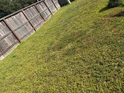Lawn Care service in Magnolia, 77355