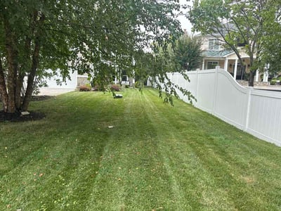 Lawn Care service in Essex, 21221