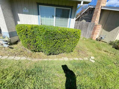 Lawn Care service in Granite Bay, 95746