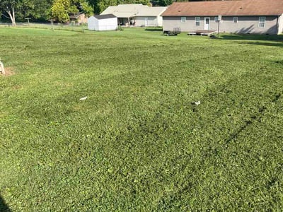 Lawn Care service in Lenoir City, 37771