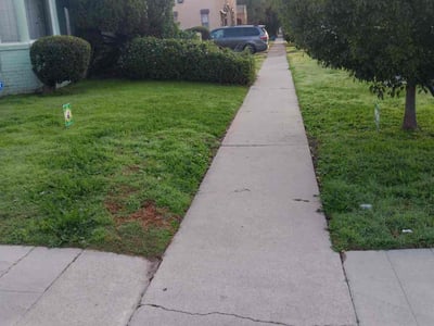 Lawn Care service in Tarzana, 91356