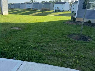 Lawn Care service in Amelia, 45102