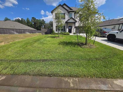 Lawn Care service in New Caney, 77357