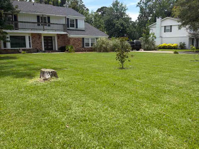 Lawn Care service in Mandeville, 70448