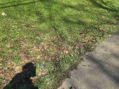 Lawn Care service in Maple Heights, 44137