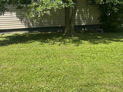 Lawn Care service in Venice, 90291