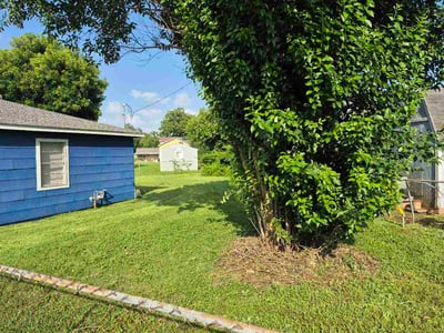 Lawn Care service in Sugar Land, 77479