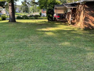Lawn Care service in Hixson, 37343