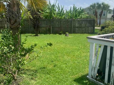 Lawn Care service in Bellaire, 77401
