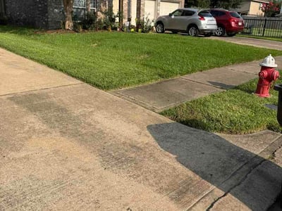 Lawn Care service in Bellaire, 77401