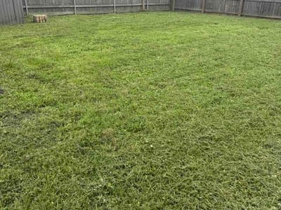 Lawn Care service in Port Allen, 70767