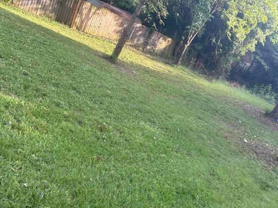 Lawn Care service in Matthews, 28105