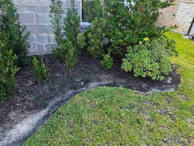 Lawn Care service in Redondo Beach, 90277