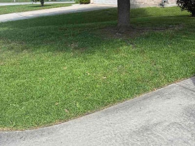 Lawn Care service in Alvin, 77511
