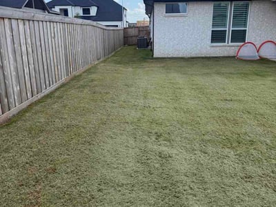Lawn Care service in Alvin, 77511