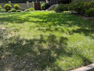 Lawn Care service in Fountain Inn, 29644
