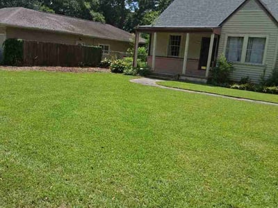 Lawn Care service in Plaquemine, 70764