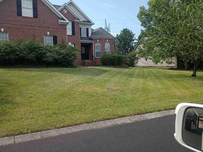 Lawn Care service in Ooltewah, 37363