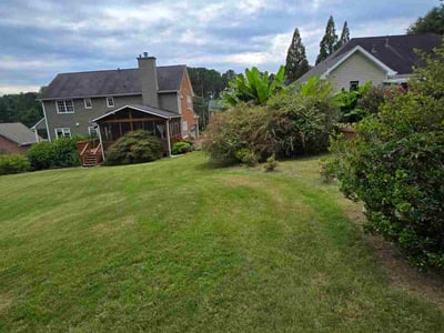 Lawn Care service in Long Beach, 90802