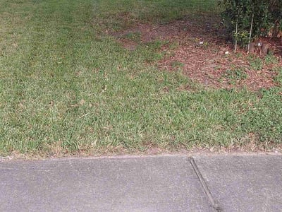 Lawn Care service in Long Beach, 90802