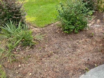 Lawn Care service in Rancho Cucamonga, 91730