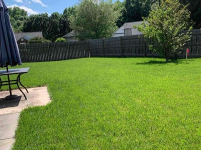 Lawn Care service in Monroe, 28112