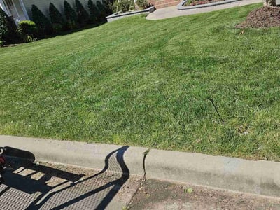 Lawn Care service in Siler City, 27344
