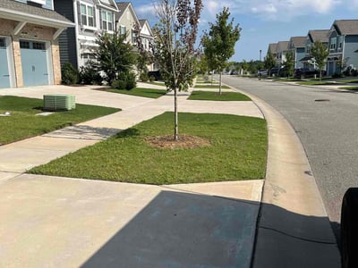 Lawn Care service in Monroe, 28112