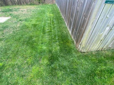 Lawn Care service in Clemmons, 27012