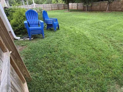 Lawn Care service in Clemmons, 27012