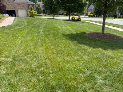 Lawn Care service in Waxhaw, 28173