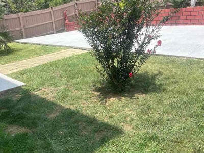 Lawn Care service in Franklinton, 27525