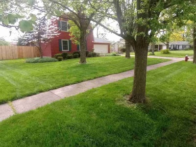 Lawn Care service in Elyria, 44035