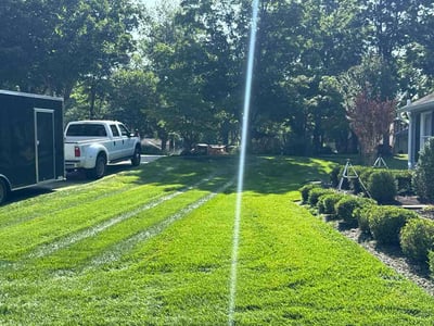 Lawn Care service in Ellicott City, 21043