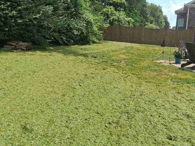 Lawn Care service in Hermitage, 37076