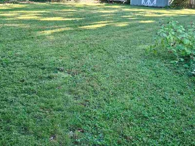 Lawn Care service in Syracuse, 13202