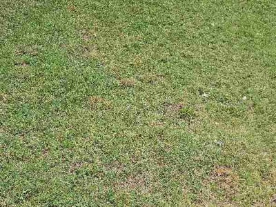 Lawn Care service in Statesville, 28677