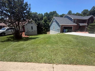 Lawn Care service in Arden, 28704