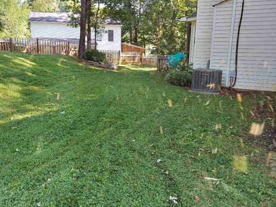 Lawn Care service in Arden, 28704