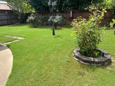 Lawn Care service in Pinson, 35126