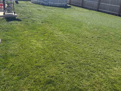 Lawn Care service in Pendleton, 46064