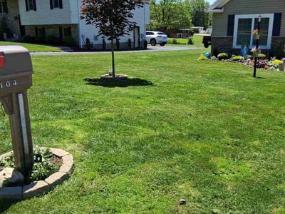 Lawn Care service in Uniontown, 15401