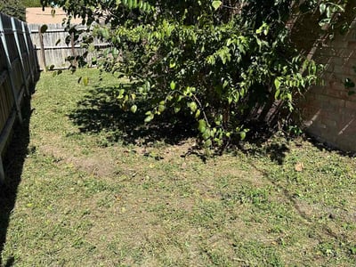 Lawn Care service in Santa Monica, 90401