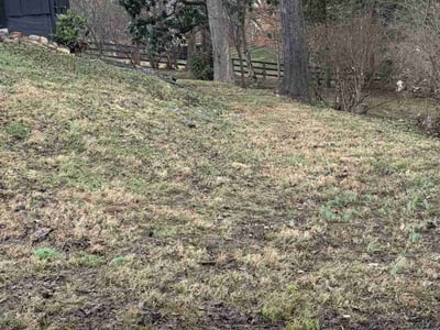 Lawn Care service in Shelbyville, 40065