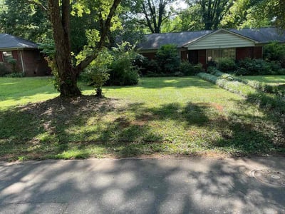 Lawn Care service in Fort Mill, 29715