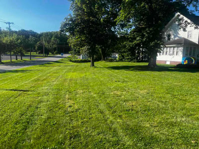Lawn Care service in Henrietta, 14467